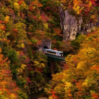 Destinasi Favorit Musim Gugur Tohoku Jepang