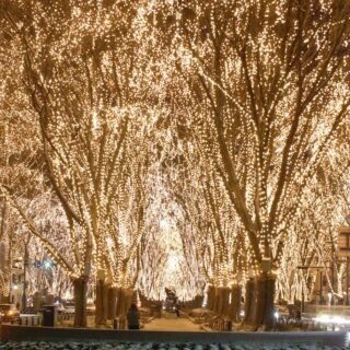 4 Destinasi yang Memesona di Tohoku Saat Musim Dingin