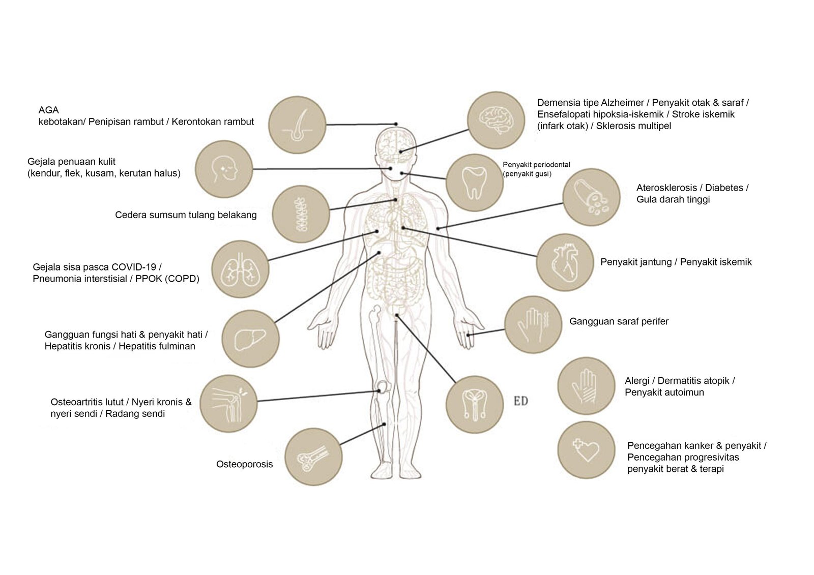 Ilustrasi Manfaat Terapi Regeneratif