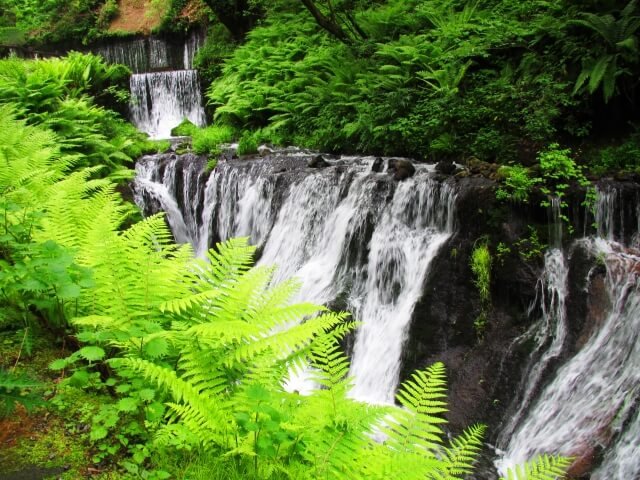 Air terjun Shiraito