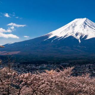 8D6N Japan Cherry Blossom Festival