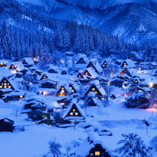 8D6N Japan Winter  with Shirakawa-go & Snow  Monkey Park
